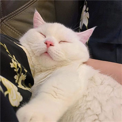 2023年微信最火的头像(精选28张)