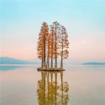 2023年微信最火的头像(精选28张)