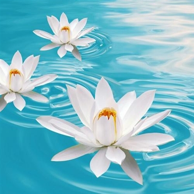 2023最火微信专属头像(精选24张)