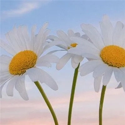 2023男人最走运头像(精选20张)