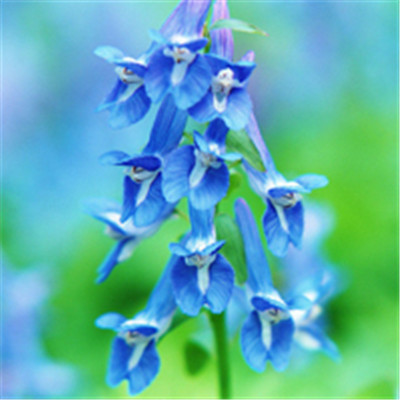 2023男人最走运头像(精选20张)