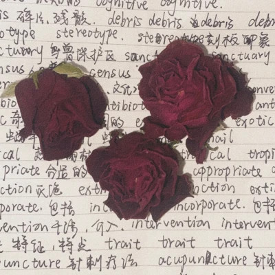 2023最火动态背景图片头像(24张)