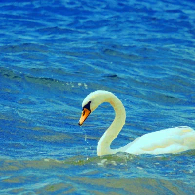 2023最火动态背景图片头像(24张)