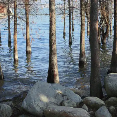 2023最火动态背景图片头像(24张)