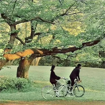 2023最火动态背景图片头像(24张)