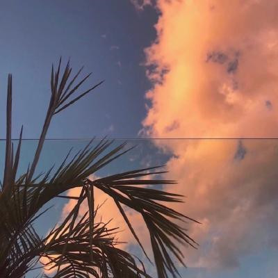 2023年最流行图片头像(22张)