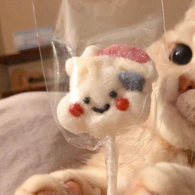 2023最火微信猫头像(精选22张)