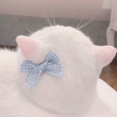 2023最火微信猫头像(精选22张)