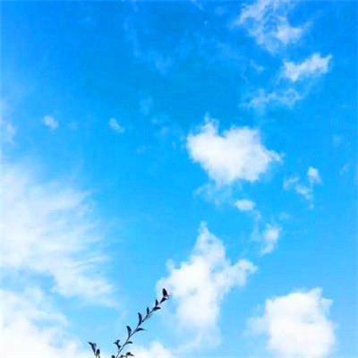 2023年风景最火的头像(36张)