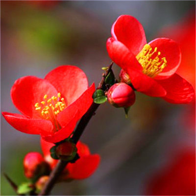 2023年风景最火的头像(36张)