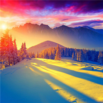 2023最红的微信头像(20张)