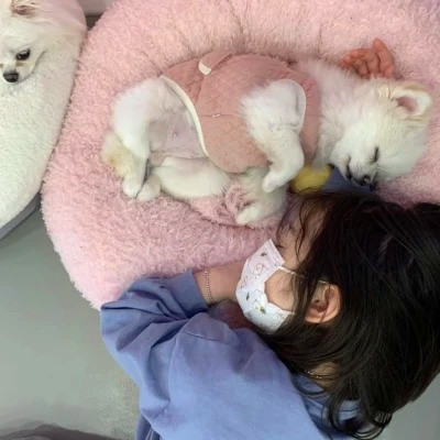 2023年最火的可爱头像(精选18张)