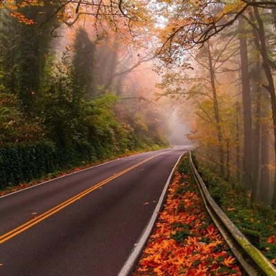 2023年现在最火的头像(精选24张)