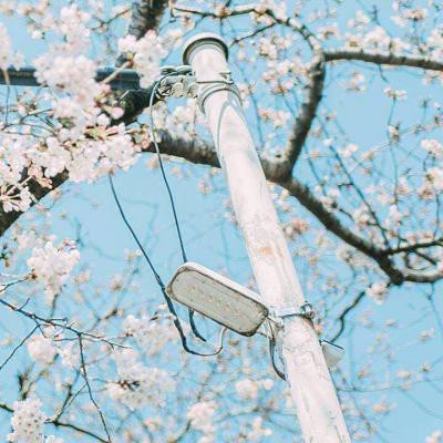 2023最新最流行的头像(22张)