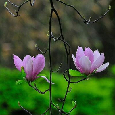 2023年最吉利的头像(精选24张)