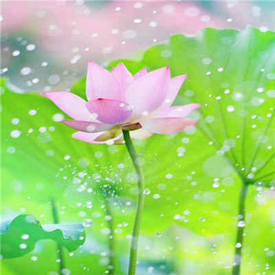 2023年最吉利的头像(精选24张)