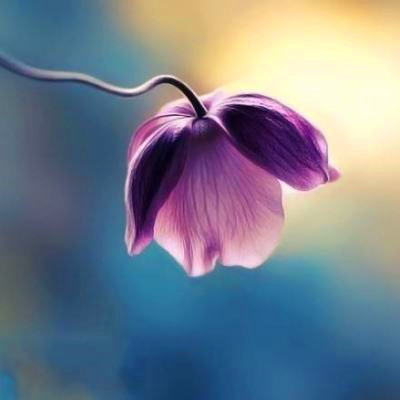 2023年最吉利的头像(精选24张)