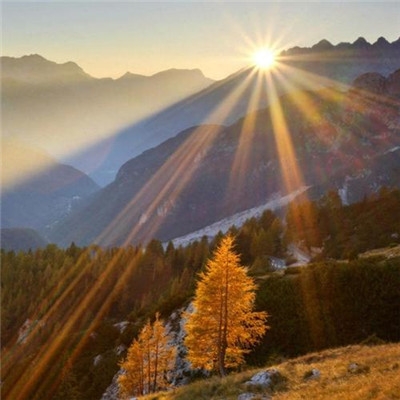 2023全网最火的头像(24张)