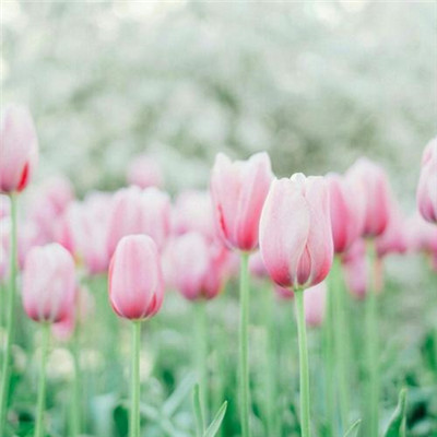 2023全网最火的头像(24张)