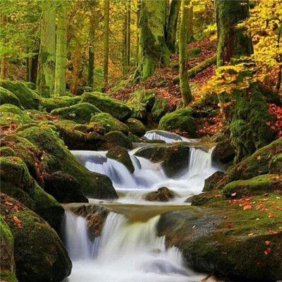 2023全网最火的头像(24张)