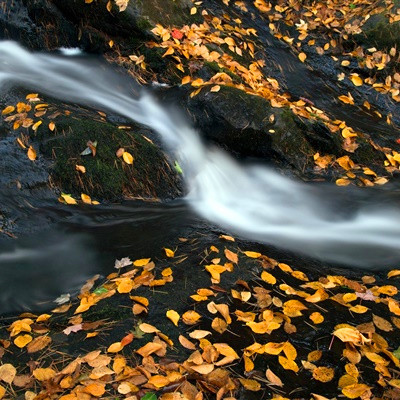 2023年最火的山水头像(精选24张)