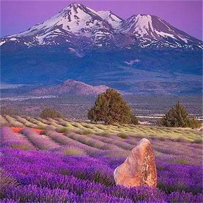 2023风景最火微信头像(精选26张)