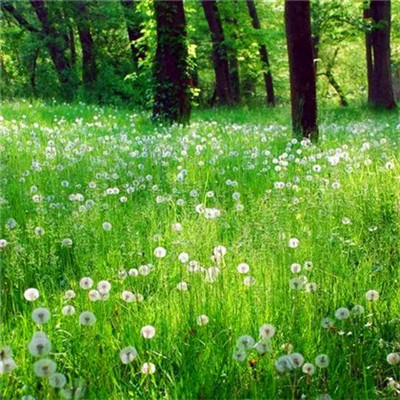 2023风景最火微信头像(精选26张)