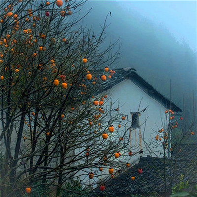 2023风景最火微信头像(精选26张)