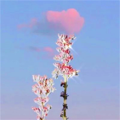 2023风景最火微信头像(精选26张)