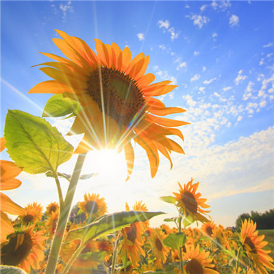 2023年最火的人头像(24张)