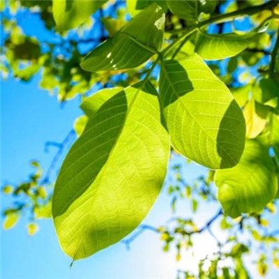 2023最火图片微信头像(精选20张)