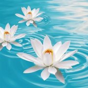 2023年最火的人物微信头像(24张)