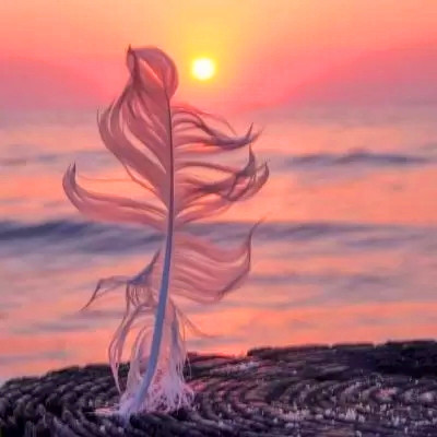 2023最带财的微信头像(18张)