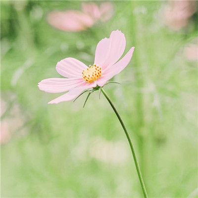 2023最带财的微信头像(18张)