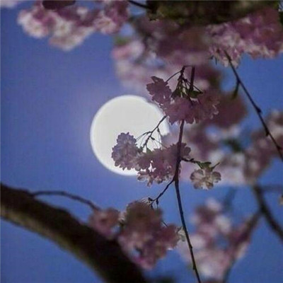 2023工全网最火的头像(26张)