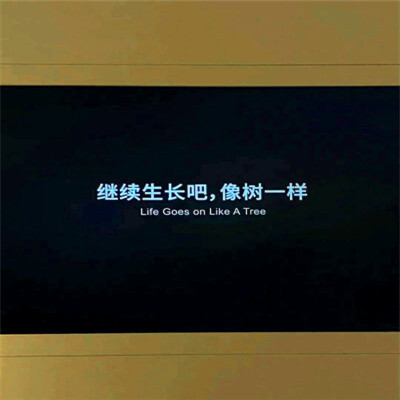 2023用的最火的头像(精选29张)