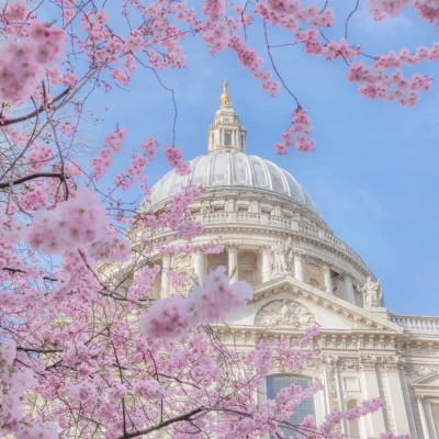 2023年最火的艺术头像(精选34张)