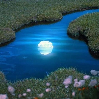 2023年最火的艺术头像(精选34张)