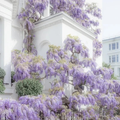 2023年最火的艺术头像(精选34张)