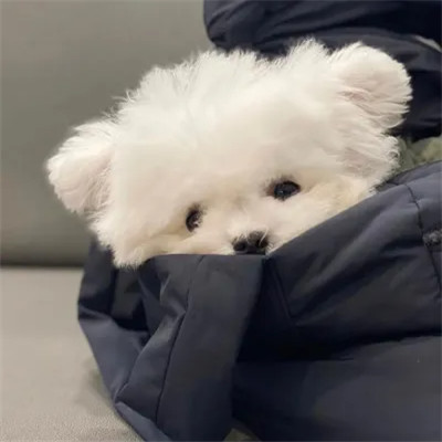 头像图片2023最叼头像(精选24张)