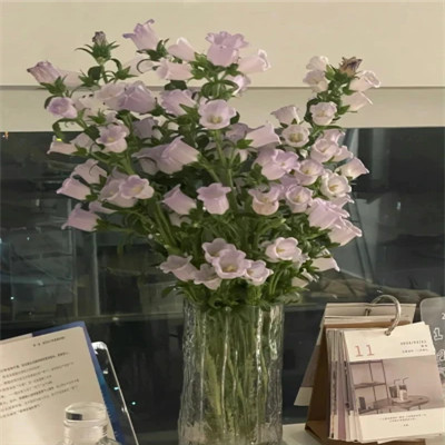 最潮2023头像(精选32张)