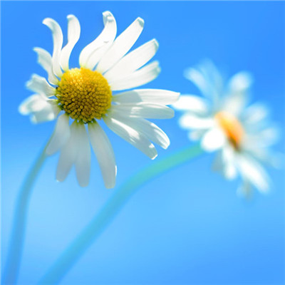 2023年最幸运的头像(22张)