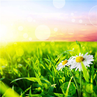 2023年最幸运的头像(22张)