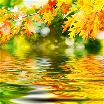 2023年最流行头像(24张)