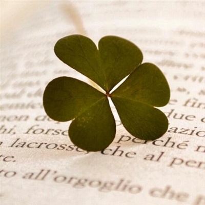 2023最励志微信头像(20张)