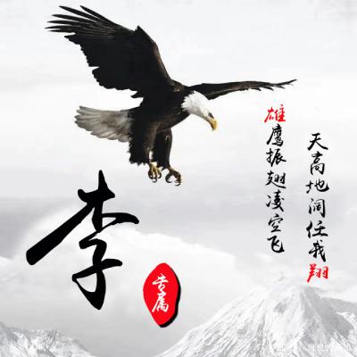 2023最火李氏头像(12张)