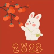 2023年最火宠物头像(精选18张)