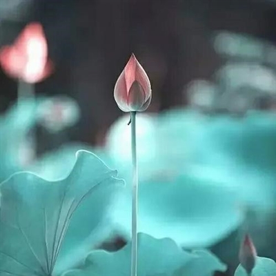 2023年微信最火头像(22张)