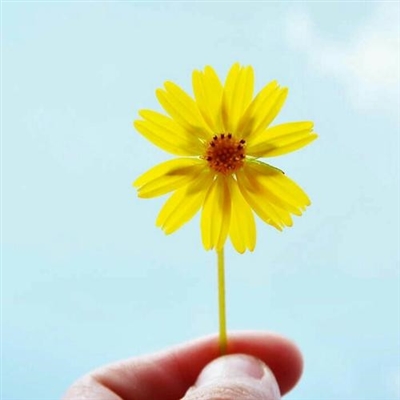 2023年微信最火头像(22张)