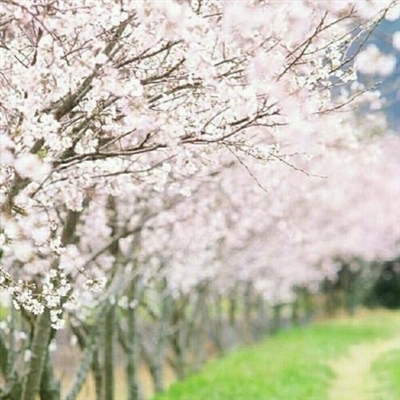 2023年微信最火头像(22张)